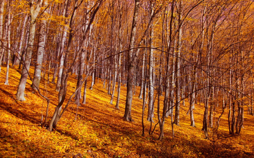 601842 (a): :1920x1200